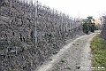 VBS_4770