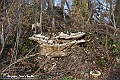 VBS_4786