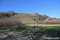 VBS_6858