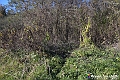 VBS_6862