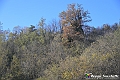 VBS_6865