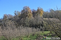 VBS_6866