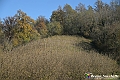 VBS_6869