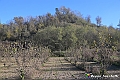 VBS_6871