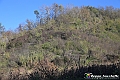 VBS_6877