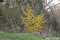 VBS_6878