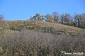 VBS_6879