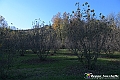 VBS_6880