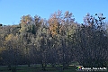 VBS_6881