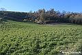 VBS_6885