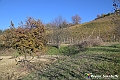 VBS_6887