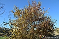 VBS_6888