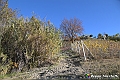 VBS_6890