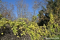 VBS_6891