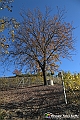 VBS_6892
