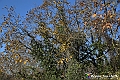 VBS_6896