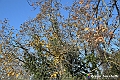 VBS_6897