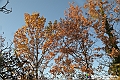 VBS_6901