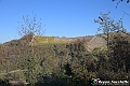 VBS_6903