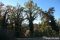 VBS_6904