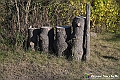 VBS_6905