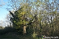 VBS_6907