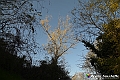 VBS_6909