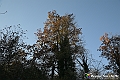 VBS_6910