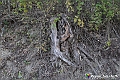 VBS_6915