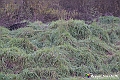 VBS_6917
