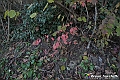 VBS_6919