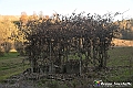 VBS_6921