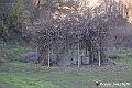 VBS_6923