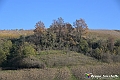 VBS_6925