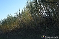 VBS_6928