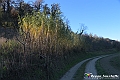 VBS_6929