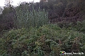 VBS_6931