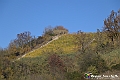 VBS_6935