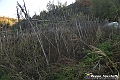 VBS_6940
