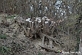 VBS_6952