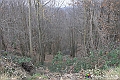 VBS_8051