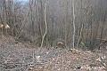 VBS_8052