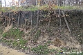 VBS_8066