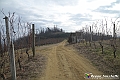 VBS_8074