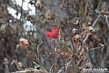 VBS_8078