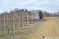 VBS_8080