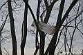 VBS_8091