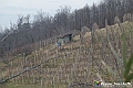 VBS_8094