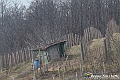 VBS_8095