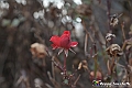 VBS_8097